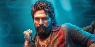 Pushpa 2 Hindi Box Office Day 22 (Early Trends): Allu Arjun Brings 37 Crore More Than Stree 2
