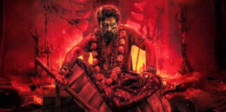 Pushpa 2 Hindi Box Office Day 17 (Early Trends): Allu Arjun Hits 2 More Records
