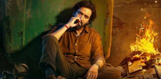 The Sabarmati Report Box Office Day 30