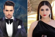 When Vivian Dsena's Divorce Took An Ugly Turn