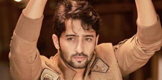 Decoding Shaheer Sheikh's Stellar Showbiz Journey
