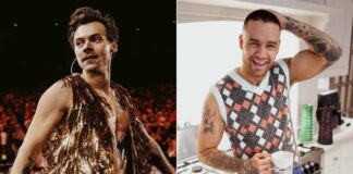 Harry Styles One Direction Reunion