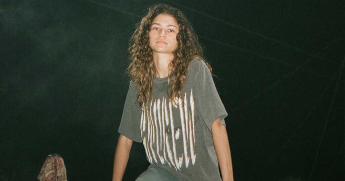 How Did Zendaya Turn Her Talents From Disney Star To Earning $1 Million