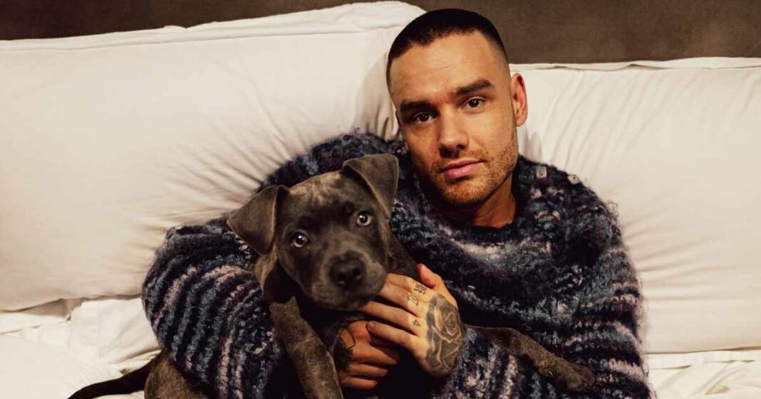 Liam Payne's Fatal Fall: New Details On Last-Minute Room Change ...