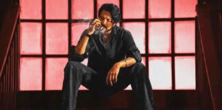 Max Box Office Collection Day 13