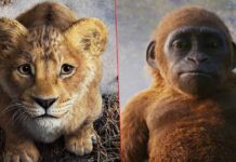 Mufasa: The Lion King North America Box Office: Beats Godzilla x Kong: The New Empire