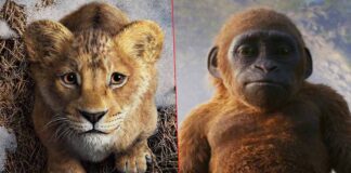 Mufasa: The Lion King North America Box Office: Beats Godzilla x Kong: The New Empire