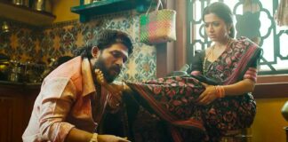 Pushpa 2 Hindi Box Office Day 28 (Early Trends): Snatches This Record From Stree 2!