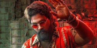 Pushpa 2 Hindi Box Office Day 34