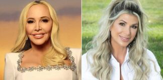Was Shannon Storms the reason behind Alexis Bellino quitting?