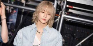 Jeonghan, SEVENTEEN, K-Pop Trainee, Idol Journey, Pledis Entertainment
