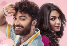Laila Box Office