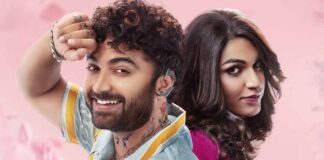Laila Box Office