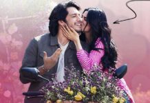 Loveyapa Box Office Collection Day 2