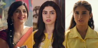Loveyapa Box Office Collection Day 20