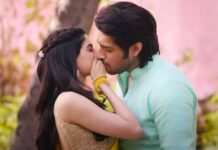 Loveyapa Box Office Collection Day 4