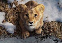 Mufasa: The Lion King North America Box Office: Sees An Astonishing Hike Of 248% On 9th Monday Despite The Arrival Of Captain America 4 Mufasa: The Lion King North America Box Office: Presidents' Day Update