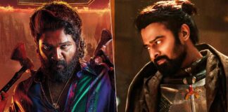 Pushpa 2 Hindi Box Office Day 54