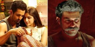 Sanam Teri Kasam Re-Release Box Office Day 17