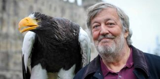 Stephen Fry Harry Potter Role