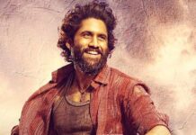 Thandel Box Office Collection Day 5: Beats Venky Mama, Needs Just 5.17 Crores More To Be Naga Chaitanya’s No.1 Grosser!