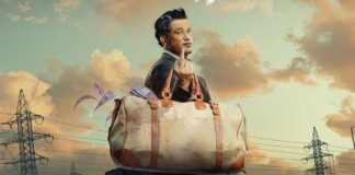 Crazxy Box Office (Closing Collection)