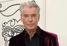 Did Pierce Brosnan want to play a role in Harry Potter?