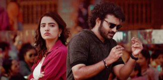 Dilruba Box Office Collection Day 13