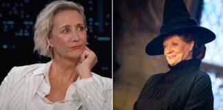 Janet McTeer might take over Professor Minerva McGonagall’s role in HBO Harry potter reboot?