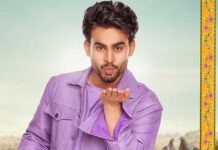 Kissik Fever Continues: Mythri Movie Distributors Brings Hindi Film to the South