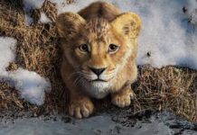 Mufasa: The Lion King Worldwide Box Office: Inches Away From Hitting The $720 Million Milestone! Mufasa: The Lion King Box Office