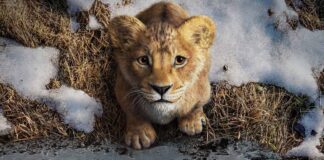 Mufasa: The Lion King Box Office