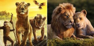 Mufasa: The Lion King Worldwide Box Office