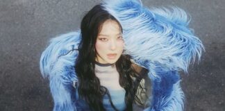 Seulgi In A Chaotic Video Teaser