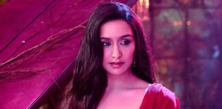 Stree 2 TV Premiere Success