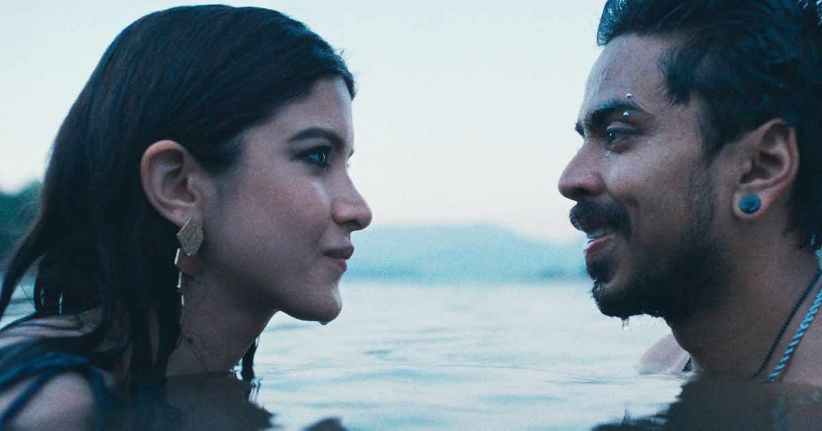 Tu Yaa Main Teaser Review: Shanaya Kapoor's Debut Film Promises Bloody Valentine With A 'Khoon Bhari Maang' Twist!