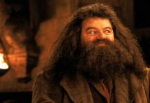 Has Hagrid been cast for Harry Potter Reboot?