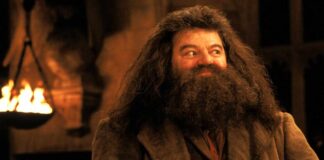 Has Hagrid been cast for Harry Potter Reboot?