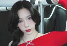 SNSD’s Taeyeon’s Tokyo Concerts Canceled