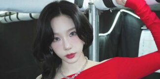 SNSD’s Taeyeon’s Tokyo Concerts Canceled