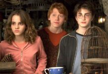 Harry Potter’s First Official Casting Wasn’t For The Trio—It Was For This Beloved Giant!
