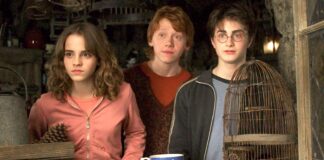 Harry Potter’s First Official Casting Wasn’t For The Trio—It Was For This Beloved Giant!