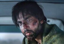 Here’s When You Can Watch Stolen Online!