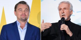How Did James Cameron Convince Leonardo DiCaprio To Consider Titanic?