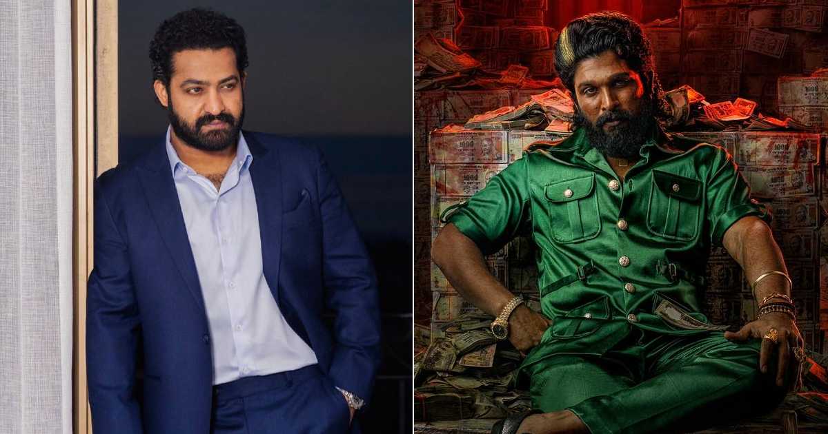 Warfare 2 Field Workplace Day 1: Jr NTR To Problem Allu Arjun, Creating Historical past In Hindi?