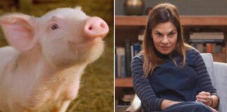 Paramount+ May 2025 Schedule: Everything Set To Stream On Digital Platform This Month
