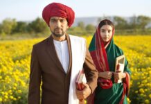 Phule Box Office Collection Day 22: Pratik Gandhi Starrer Does Unthinkable, Beats Chhaava, Jawan & Stree 2 In This Feat