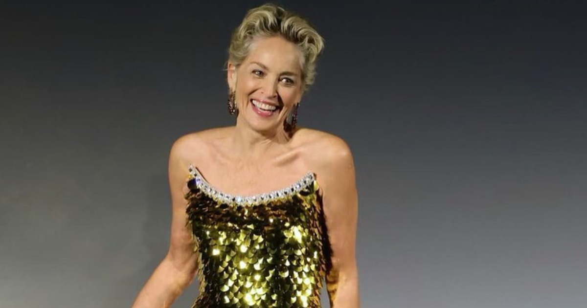 Sharon Stone’s Final Probability: The Story Behind Her Explosive Rise To Fame With Primary Intuition Function