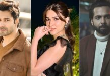 Varun Dhawan, Kriti Sanon & Other Stars Praise Stolen!