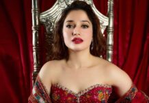 Tamannaah Bhatia Enjoys 620% Salary Hike Post Stree 2 For Her Next Gig